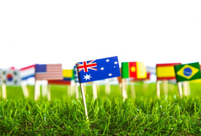 Paper cut of flags on grass for Soccer championship 2014