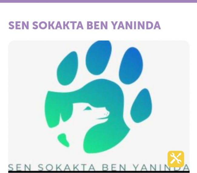 sen-sokakta-ben-yaninda (1) sen-sokakta-ben-yaninda (1)