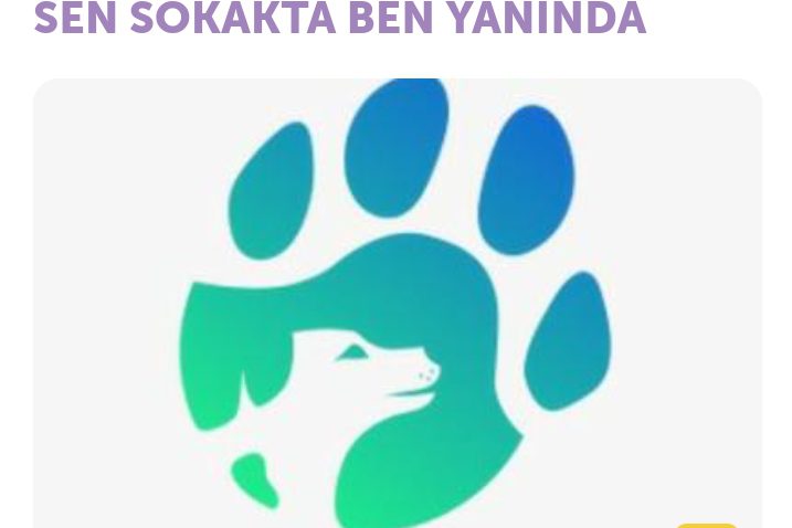 sen-sokakta-ben-yaninda (1)